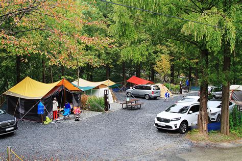 자연 휴양림 캠핑 장